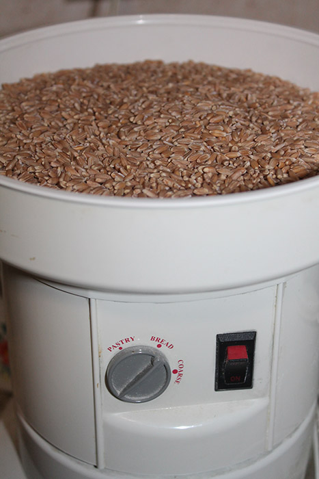 grinding-spelt-berries